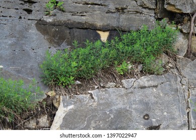 Katy Trail Missouri River Bluffs