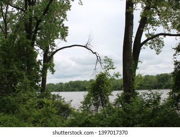 Katy Trail Missouri River View