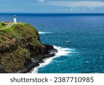 kauai lighthouse kilauea point hawaii island