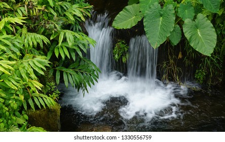 Kauai Waterfall Solitude Stock Photo 1330556759 | Shutterstock