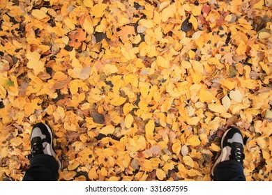 KAUNAS, LITHUANIA - OCTOBER 26: Feet With Sneakers Of Unidentified Person Standing On The Carpet Of Fallen Leaves On October 26, 2015 In Kaunas, Lithuania  