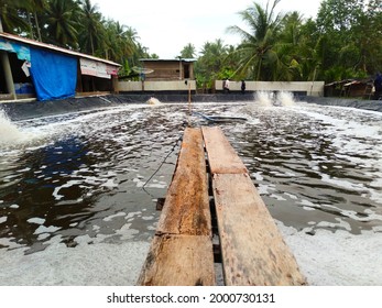 Kaur, Bengkulu Province, Indonesia, July, 02, 2021, A Bridge For Control Of Shrimp Feed And Water Quality In Vannamei Shrimp Aquaculture Ponds