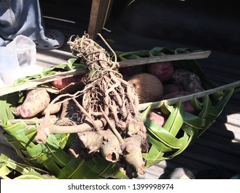 Kava Kava (Piper Methysticum) Roots And Some Food On A Truck, Vanuatu