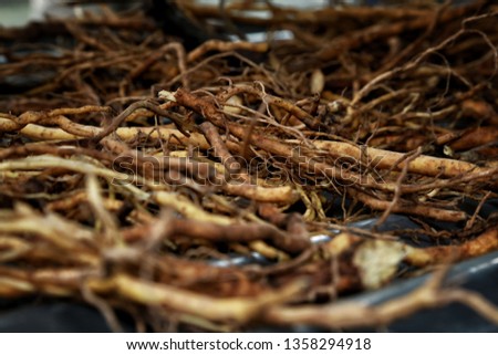 Kava Kava roots selective focus for background