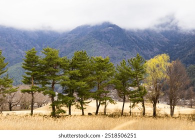 Kawagutiko lake misty lakes, mountains and meadows Japan - Powered by Shutterstock