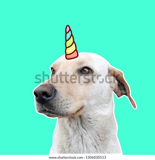 かわいい犬とトウモロコシ かわいい犬 現代美術のコラージュ 私の幸せな一角獣の生活 のコンセプト の写真素材 今すぐ編集