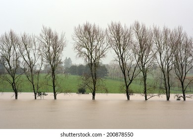 KAWAKAWA , NZL - JUNE10 2014:Submerge Trees In A Flooded Farm In Northland.Floods Are The Most Frequent And Costly Natural Disasters In New Zealand