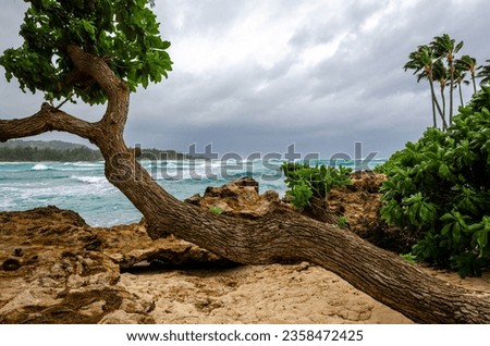 Kawela Bay on North Shore of Hawaii. Blue water with stormy skies and surf. Palm and other exotic trees lining a sandy and rocky beach.