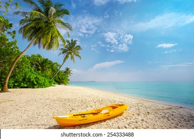 Kayak on sunny tropical beach with palm trees on Maldives - Powered by Shutterstock