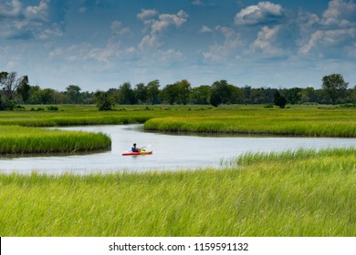 Kayaker In The Marshland