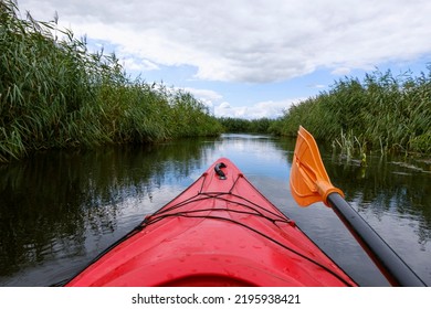 Kayaker Point Of View. Kayak Bow With A View On The River And Rushes.   River Kayaking Concept. Active Vacations In Wild Nature.