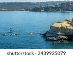 Kayakers observing sea lions in La Jolla cove, San Diego, California