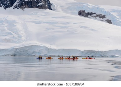 Kayaking In Antarctic Sea