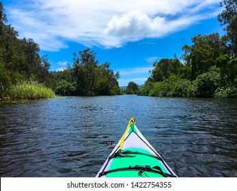 Kayaking In Noosa Everglades, Australia