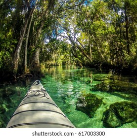 Kayaking Two Sisters Crystal River Florida