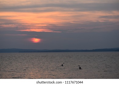 Kayaks In The Chesapeake Bay At Sunset