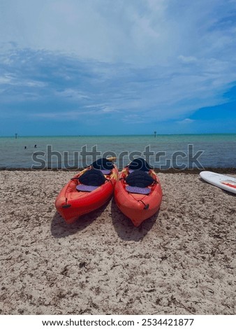 Similar – Image, Stock Photo On the surfboard just after sunrise