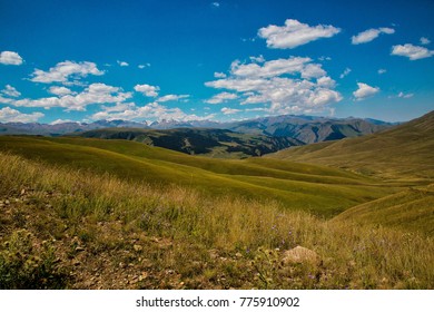 Kazakh Steppe Day