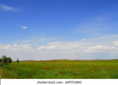 Kazakh Steppe In Spring On A Summer Day