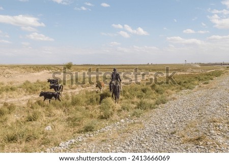 Kazakhstani horsemen. Horse shepherds. A shepherd on a horse grazes cows in a pasture