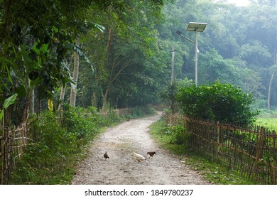 Kaziranga, Assam/India - November 5 2020: Solar Powered Street Light On A Village Road.