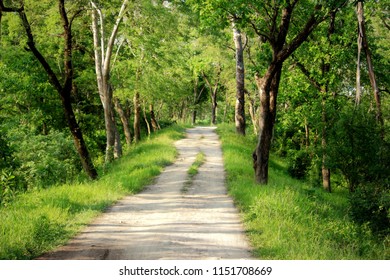 Kaziranga National Park,Assam,India