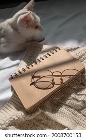 Kediri, Indonesia - July 2021: Sunglasses With Cat, Notebook, And A Book From Lady Susan By Jane Austen On White Sheet