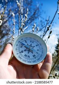 Keep Heading For Spring! Winter-spring Hiking (spring Independent Travel In Forest And River, Willow Catkins), Camping Equipment - Follow The Compass (shoot An Azimuth), Trail Orienteering