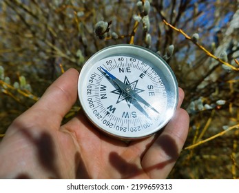 Keep Heading For Spring! Winter-spring Hiking (spring Independent Travel In Forest And River, Willow Catkins), Camping Equipment - Follow The Compass (shoot An Azimuth), Trail Orienteering