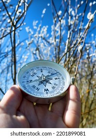 Keep Heading For Spring! Winter-spring Hiking (spring Independent Travel In Forest And River, Willow Catkins), Camping Equipment - Follow The Compass (shoot An Azimuth), Trail Orienteering