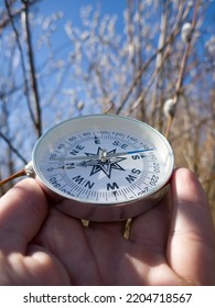 Keep Heading For Spring! Winter-spring Hiking (spring Independent Travel In Forest And River, Willow Catkins), Camping Equipment - Follow The Compass (shoot An Azimuth), Trail Orienteering