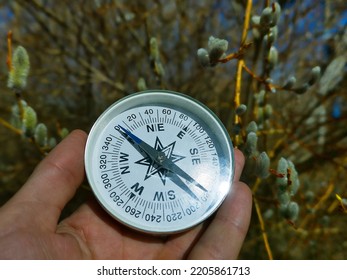 Keep Heading For Spring! Winter-spring Hiking (spring Independent Travel In Forest And River, Willow Catkins), Camping Equipment - Follow The Compass (shoot An Azimuth), Trail Orienteering