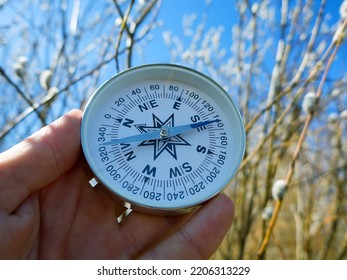 Keep Heading For Spring! Winter-spring Hiking (spring Independent Travel In Forest And River, Willow Catkins), Camping Equipment - Follow The Compass (shoot An Azimuth), Trail Orienteering