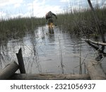 Keep on going walking through the swamp