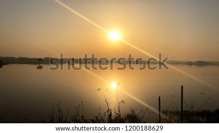 Keep your face always toward the sunshine - and shadows will fall behind you - Walt Whitman