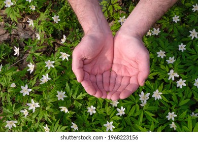 Keeping hands, empty cupped palms together isolated on spring flowers background.