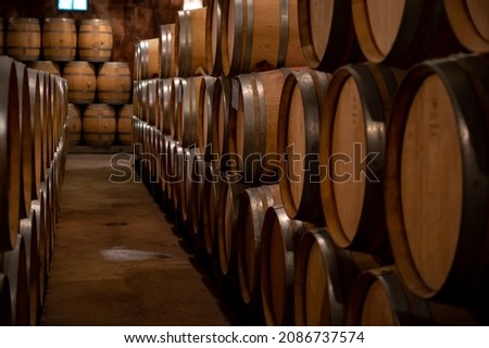 Keeping for years of dry red wine in new oak barrels in caves in Burgundy, made from pinot noir grape, expensive French wine production