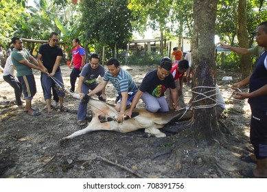 Kelantan Malaysia 1st September 2017 Sacrifice Stock Photo 708391756 ...