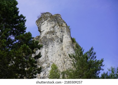 The Kelheim limestone, also called Auerkalkstein, is a limestone.This limestone was created in the Upper Jura (Malm). Bavaria, Germany