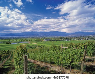 Kelowna, Vineyards And Golf, British Columbia, Canada