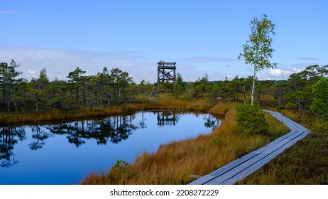 Kemeru, National Nature Park. A Wooden Path Through Marsh Wetlands With Small Pines, Bog Plants And Ponds. Hiking Route For Outdoor Activities And A Healthy Lifestyle