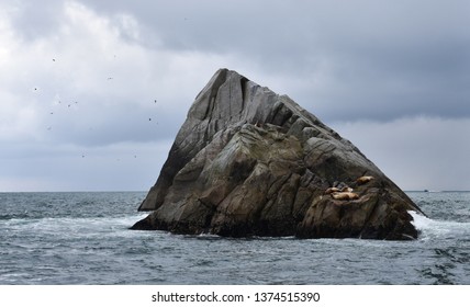 Kenai Fjords National Park, Alaska