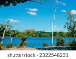 Kendrick pond Cutler Park Reservation Needham MA USA