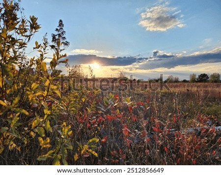 Kennebunk Plains in Fall time. 
