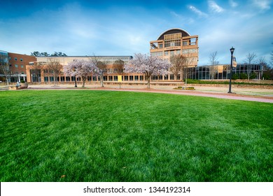 6 Kennesaw State University Images, Stock Photos & Vectors | Shutterstock