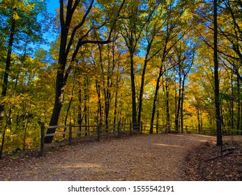 Kennesaw Mountain Trail In Autumn