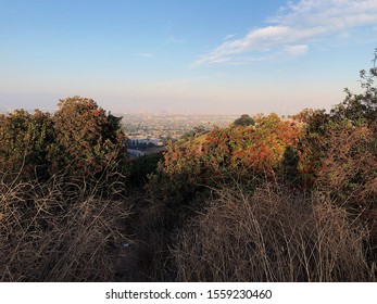 Kenneth Hahn State Recreation Area City Overlook