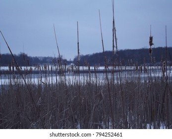 Kensington Metropark, MI, USA.