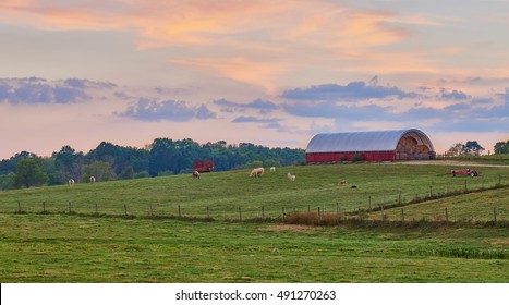 Kentucky Farm At Sunset