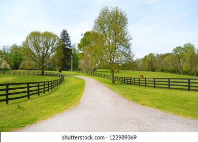 Kentucky Horse Farm